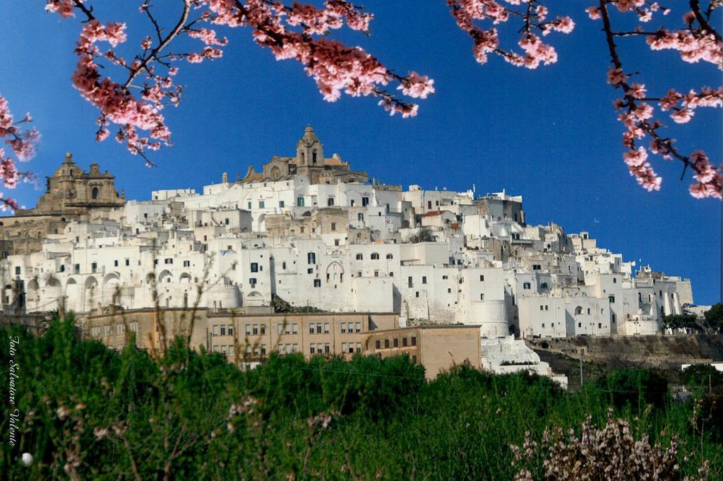 B&B Salita Delle Pere Alberobello Exterior foto