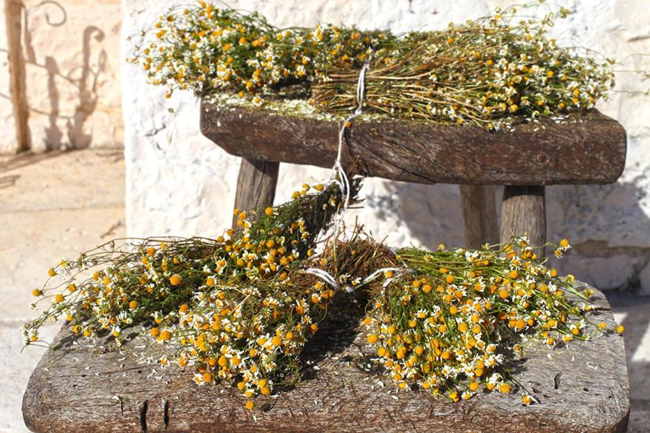 B&B Salita Delle Pere Alberobello Exterior foto